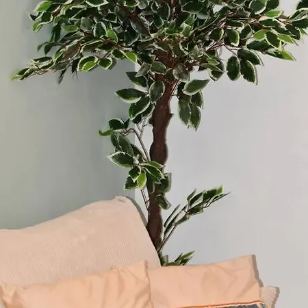 L'amour A La Apartman Deauville