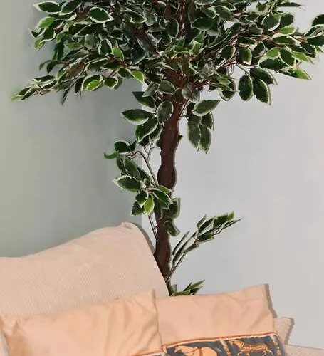 L'amour A La Apartmán Deauville